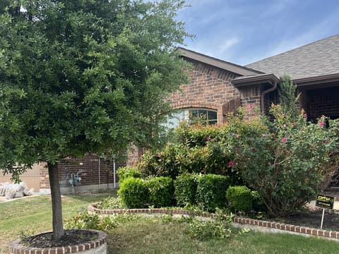 Front yard with ringed trees, trimmed shrubs, and a maintained lawn