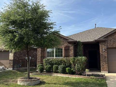 Curb view of a maintained front yard with trimmed tree and shrubs