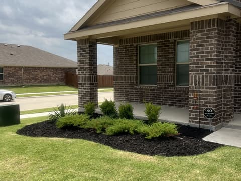 New landscape bed with young plantings and black mulch at a new-build home