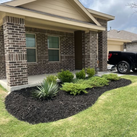 Detail of fresh dark mulch and new plantings against a brick home